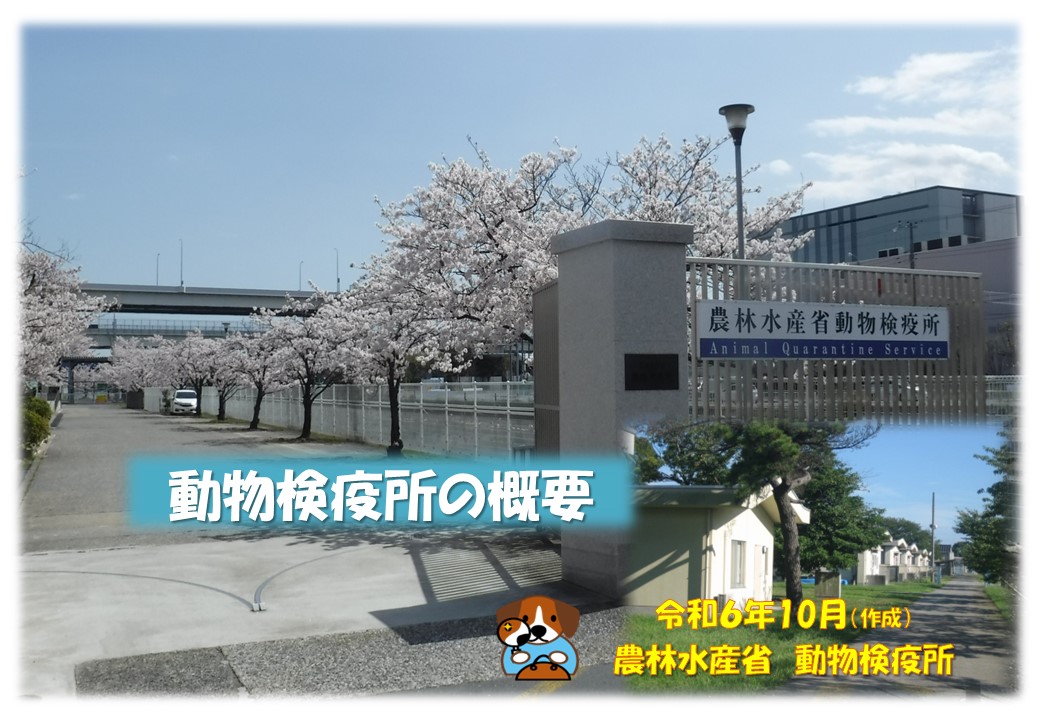 動物検疫所の概要