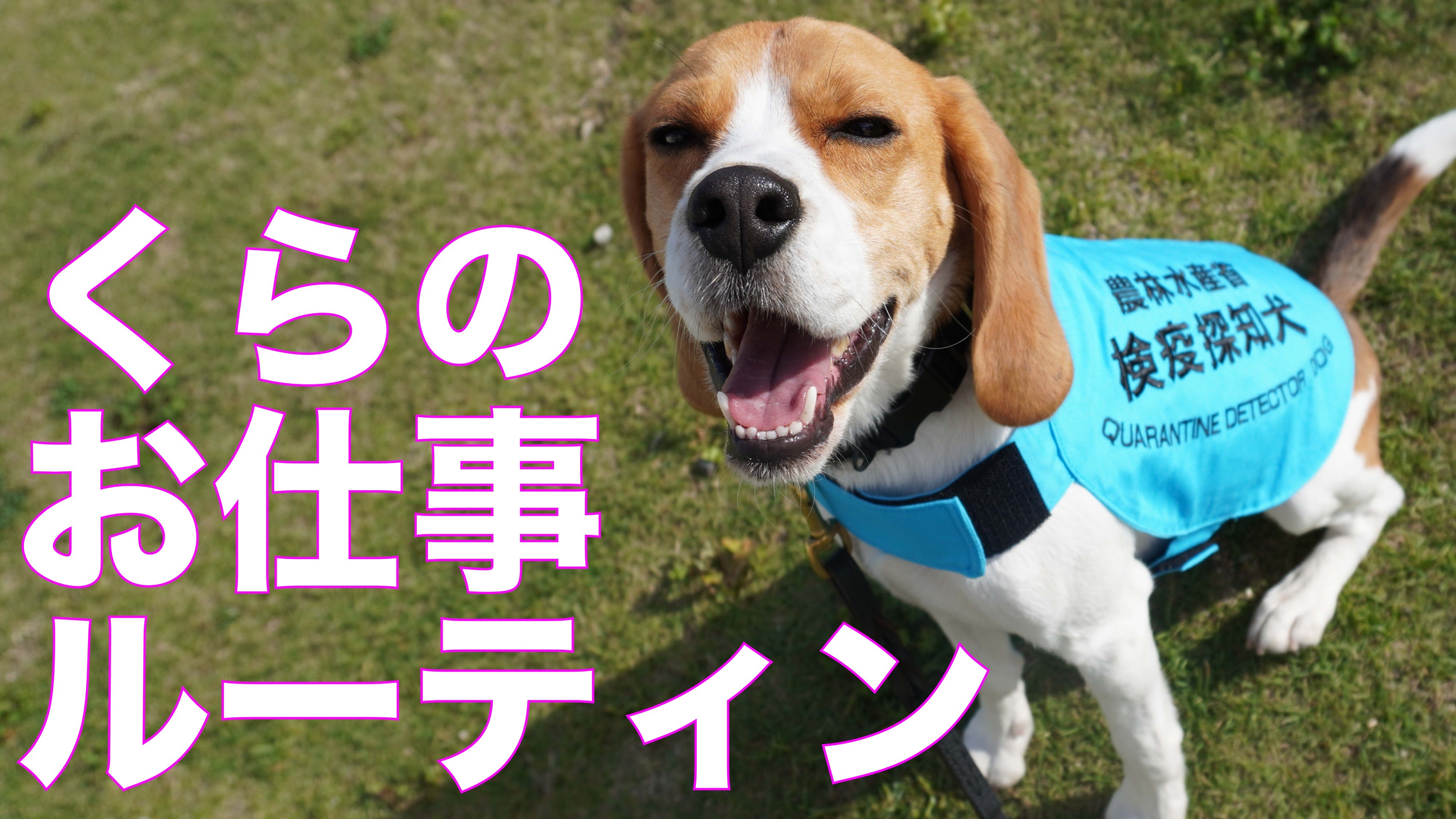 くらの1日サムネイル