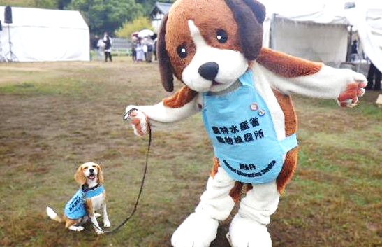 関西空港_動物感謝デー2