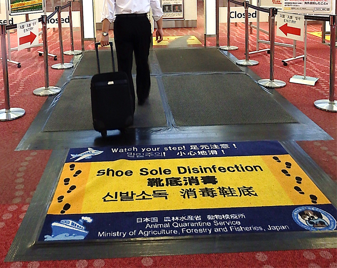 靴底消毒用のマット