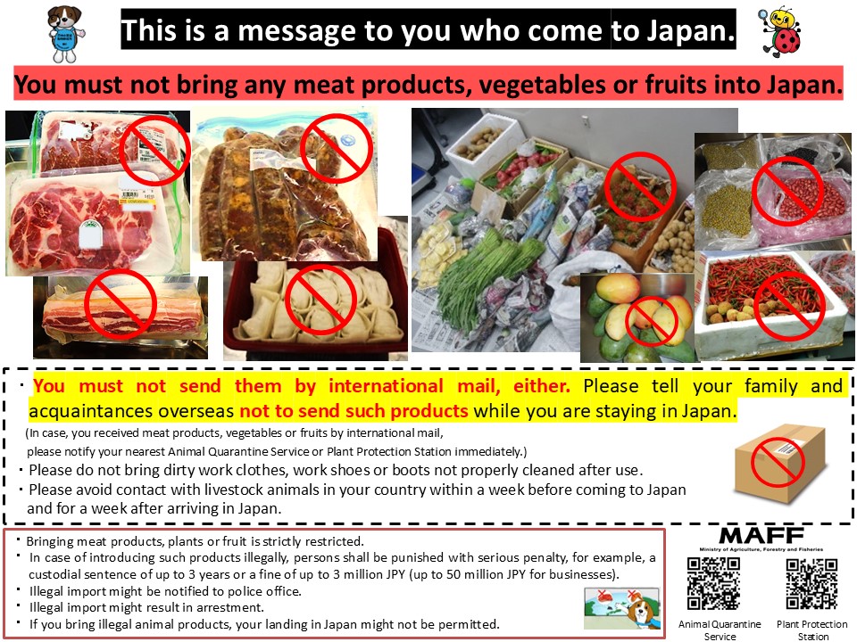 外国語で作成された広報物の一例