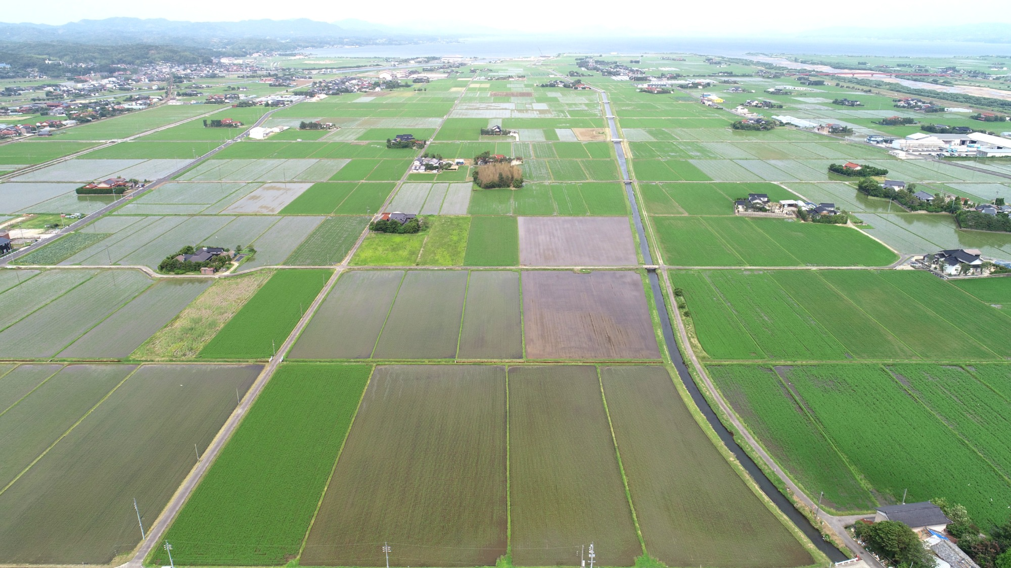 宍道湖西岸の受益地一面の緑の田畑