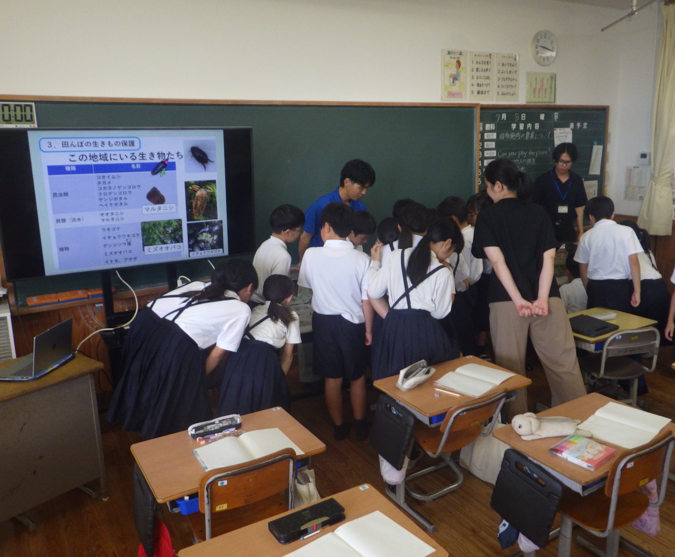 出前授業の様子(生き物観察)