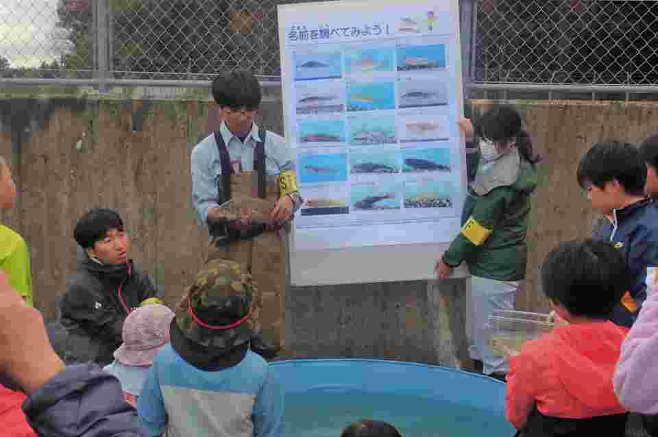 生きものの解説・質問（その1）