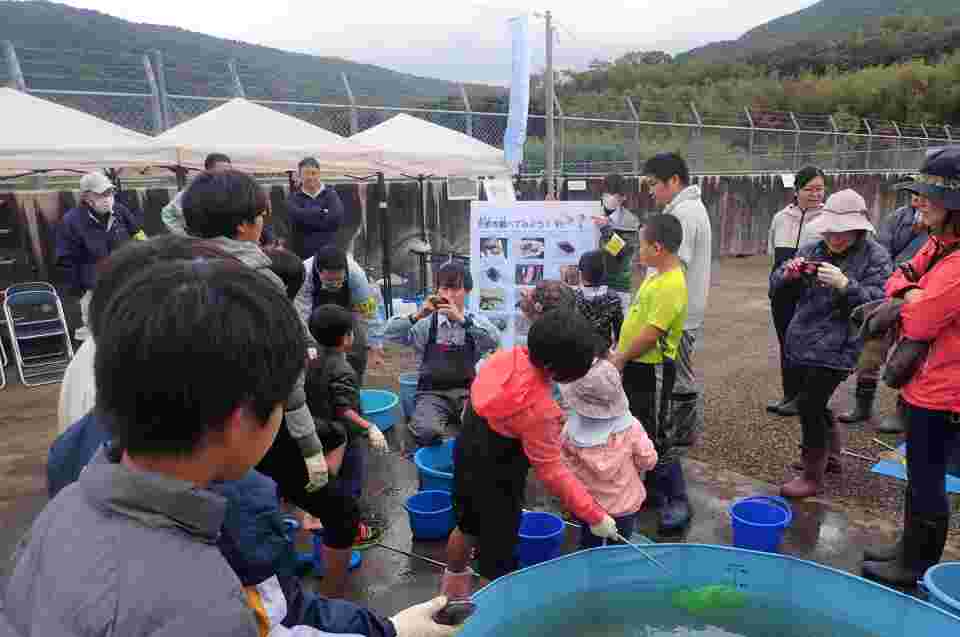 生きものの解説・質問（その2）