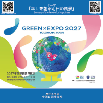 中国四国地域の花き