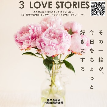 中国四国地域の花き