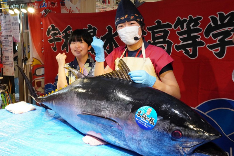 宇和島水産高校「フィッシュガール」マグロ解体ショー