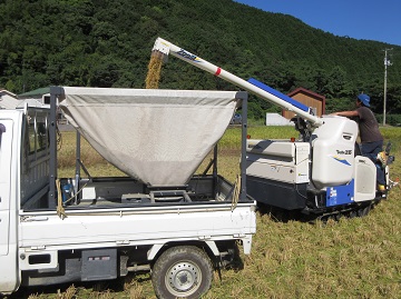 収穫したもみを運搬車(軽トララック)へ積込作業をする様子