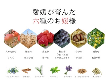 特産品を紹介したパンフレット(抜粋)