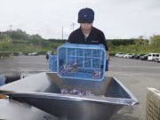 デラウェアを破砕機に入れる従業員