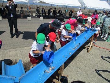 稚魚を放流する園児ら