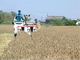 さぬきの夢2009（小麦）収穫作業がほぼ終了