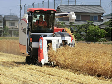 コンバインによる収穫作業の様子