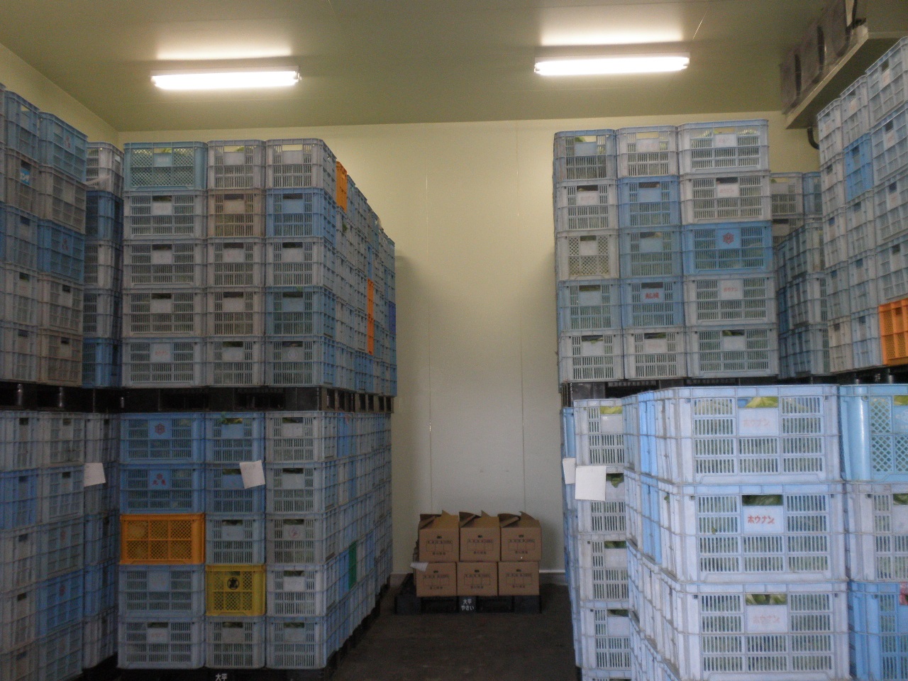 予冷庫の様子