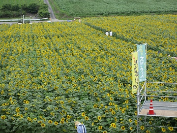 ひまわり団地の展望台からの眺め