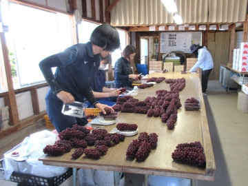 出荷前の調整作業