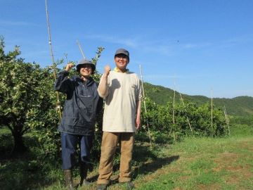 島留学している田中さん