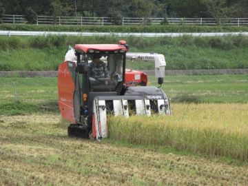 自動運転コンバインでの収穫