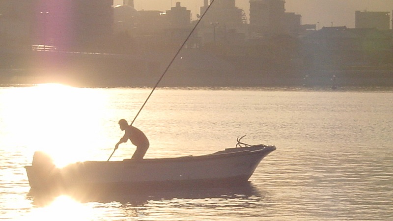 宍道湖のシジミ漁
