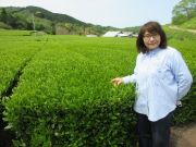 茶畑と佐々木さん