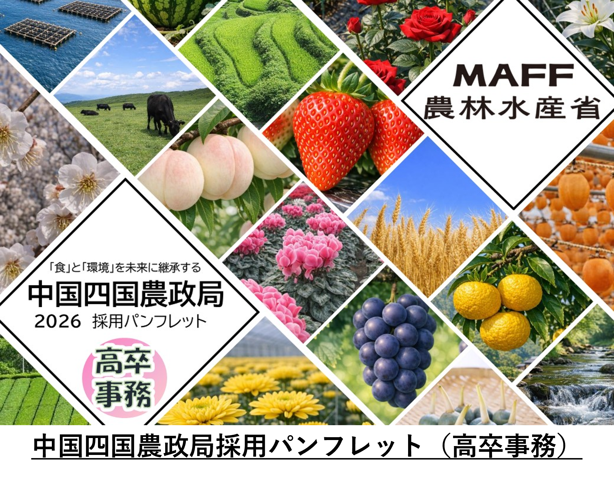 国家一般職高卒事務採用パンフレット