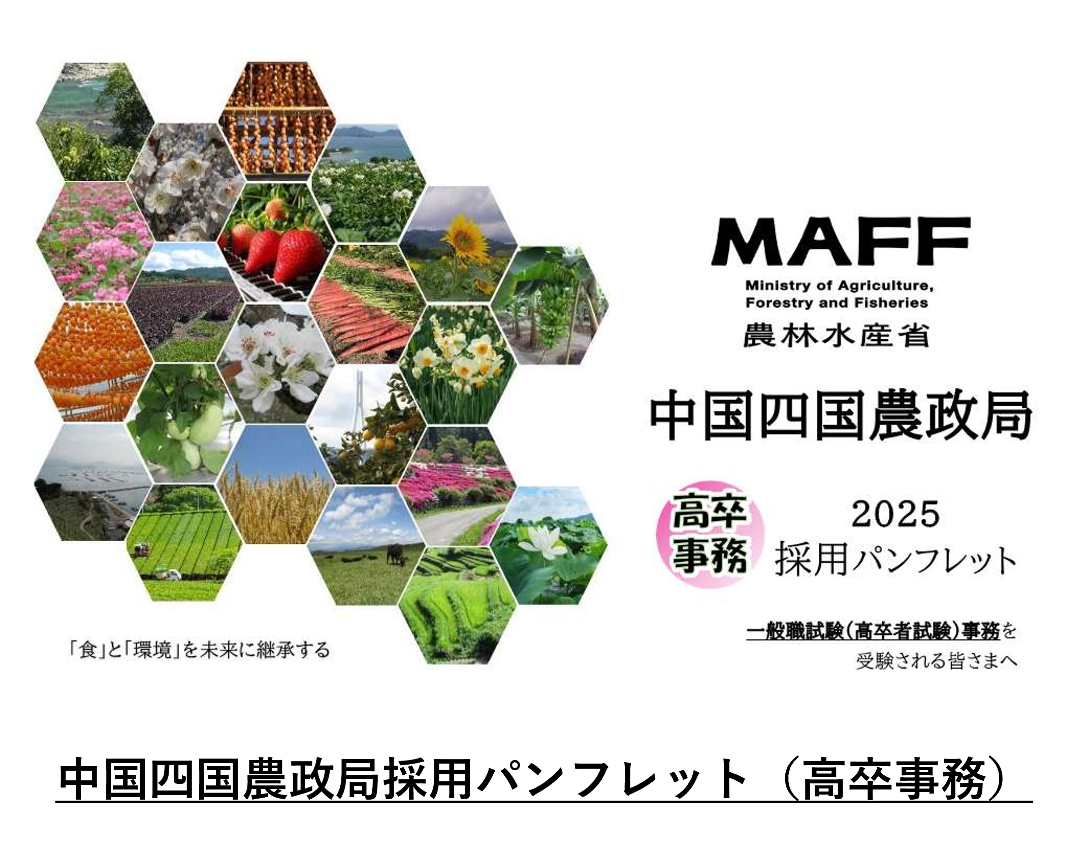 国家一般職高卒事務採用パンフレット