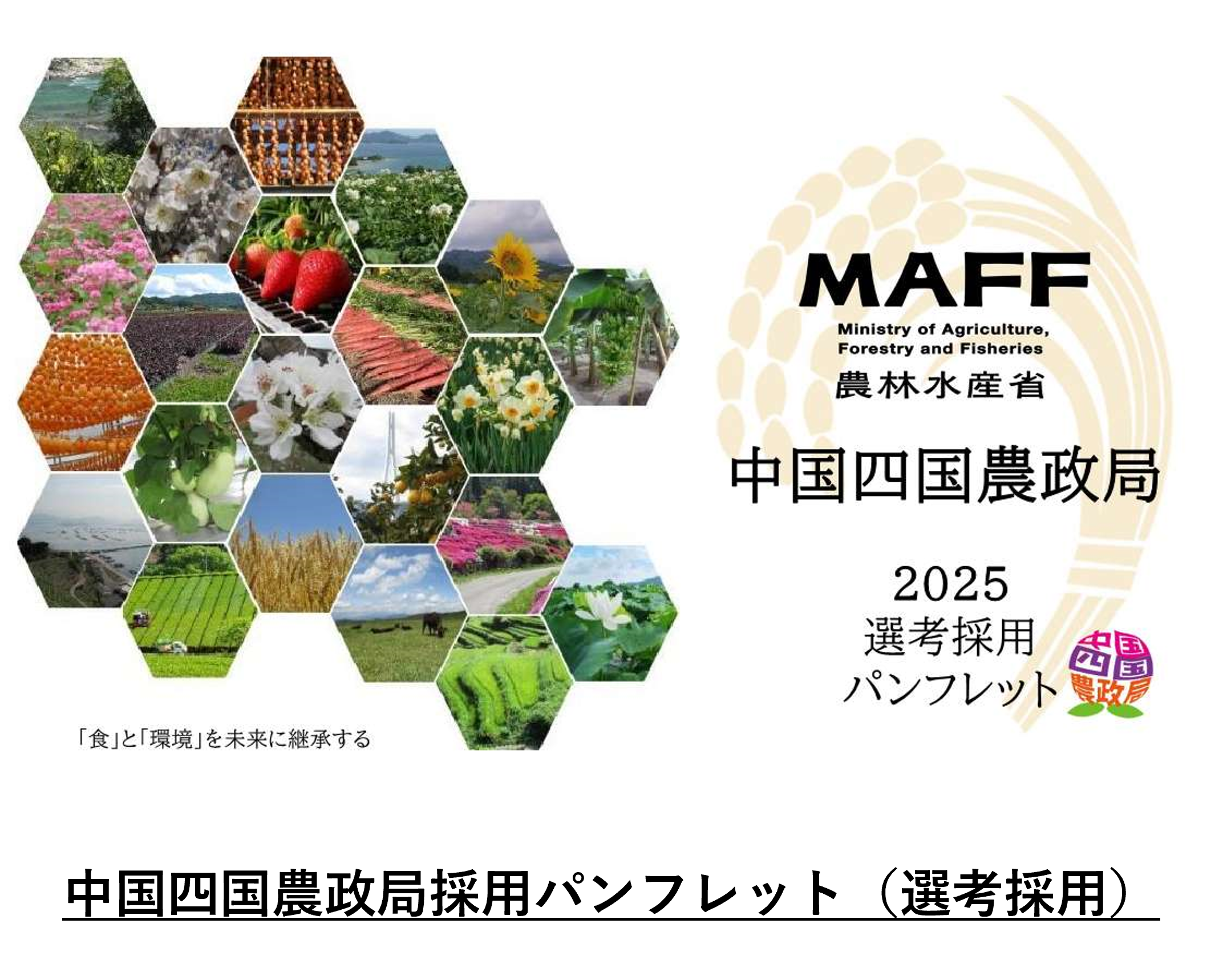 選考採用パンフレット