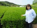 扇原茶園の茶畑と佐々木京子さん