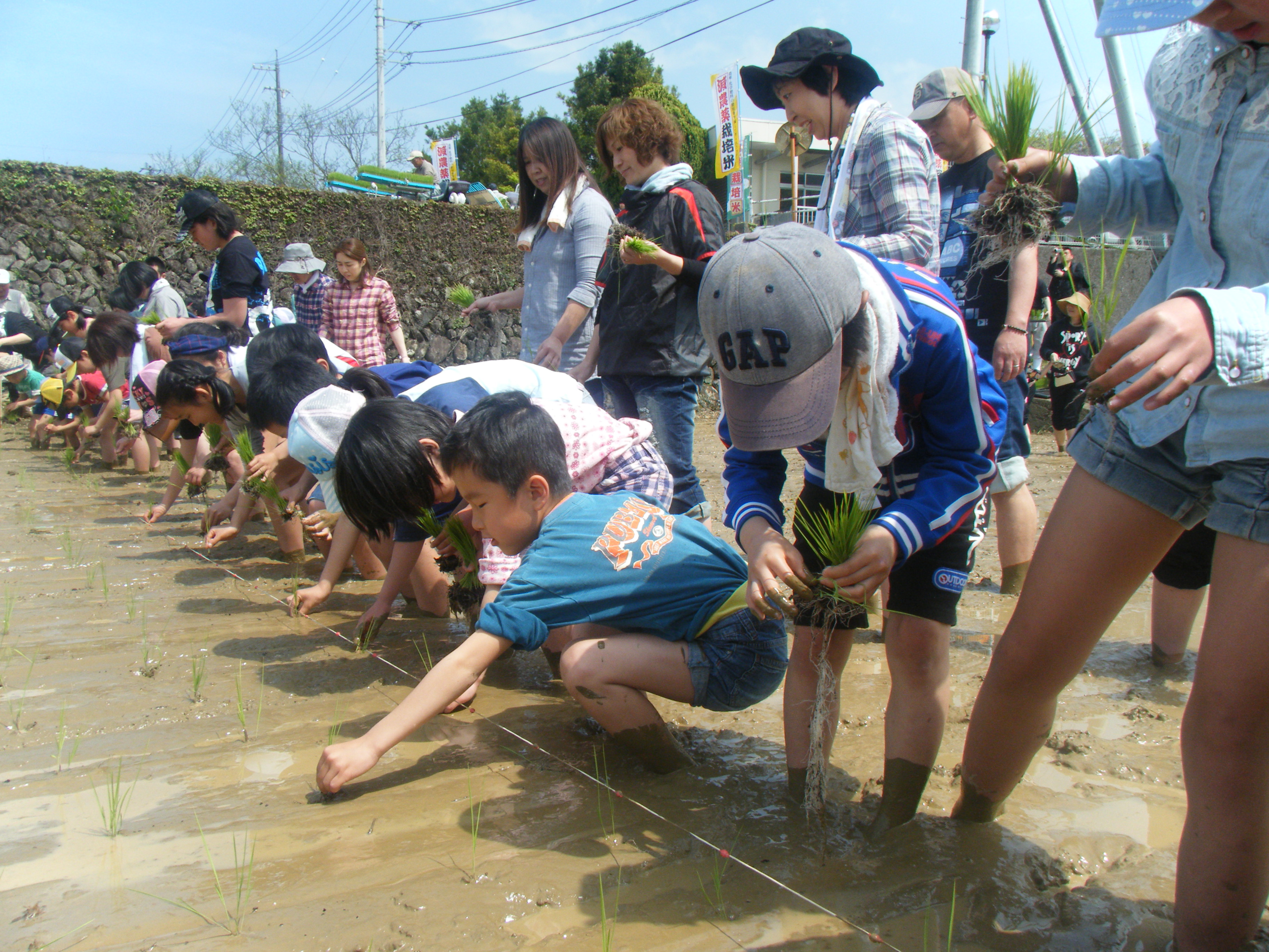 初めての田植え
