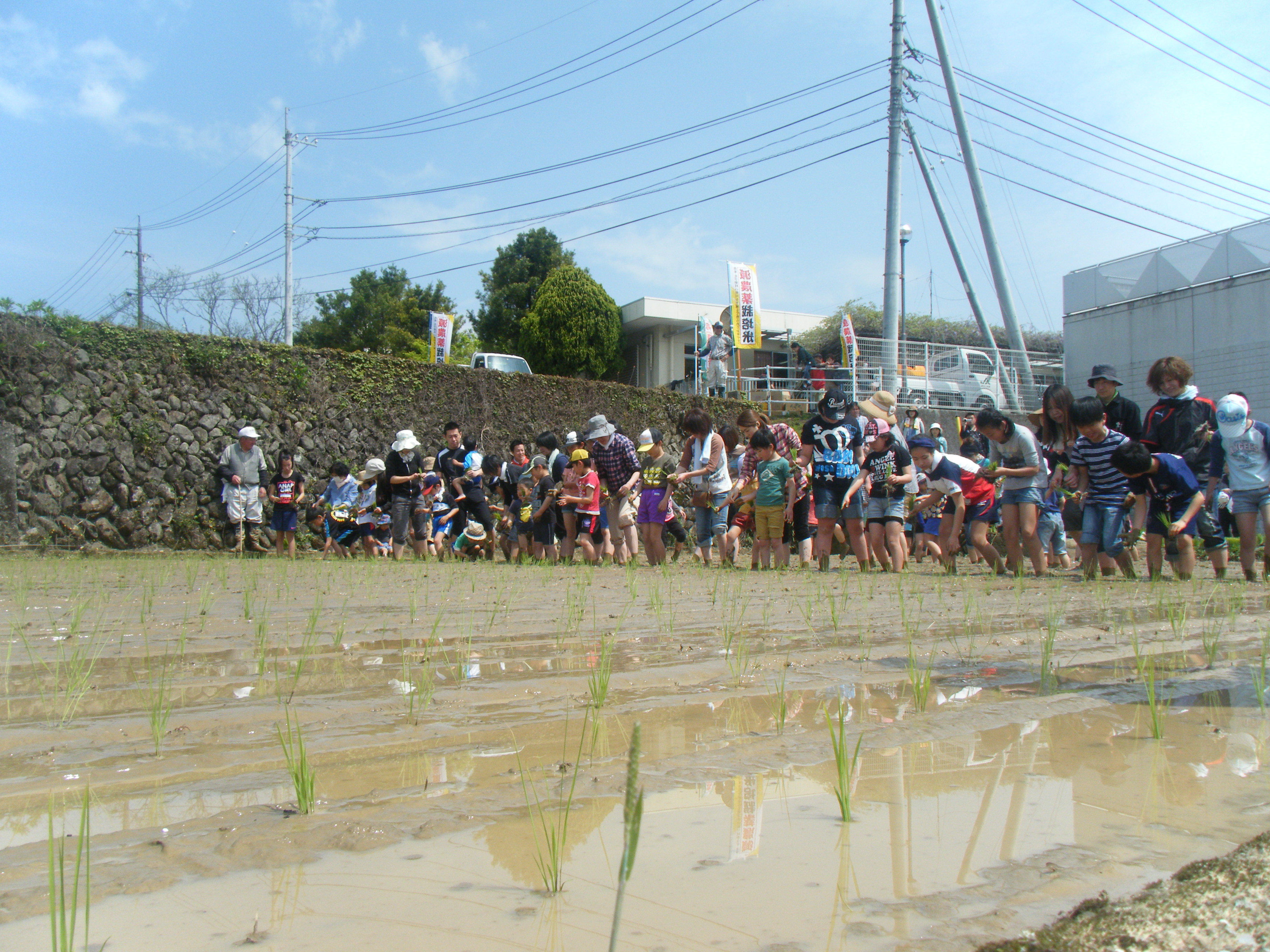 みんなでがんばりましょう