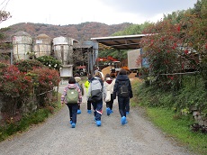 牛舎に向かう体験者