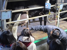 搾乳の注意点についての説明