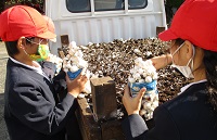 袋は山盛り、培地は空っぽ!