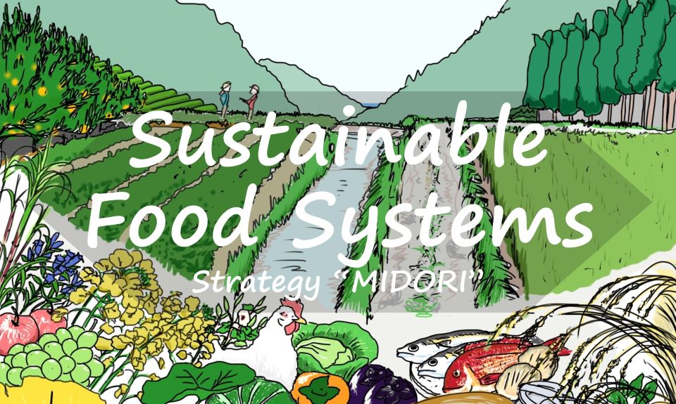 00_SustainableFoodSystemsStrategyMIDORI_TOP.jpg