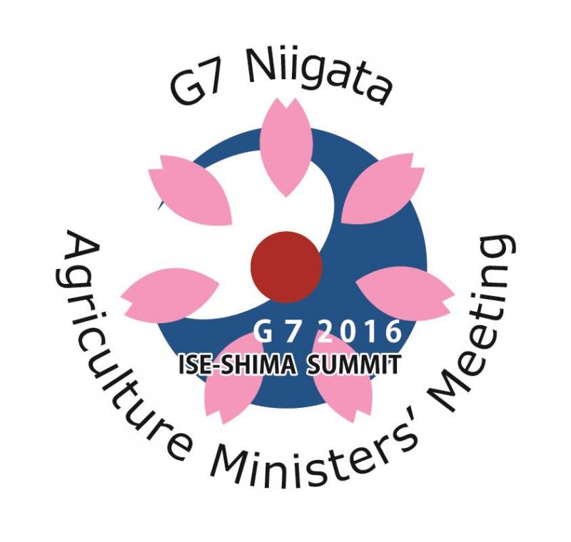 G7 Niigata summit logo