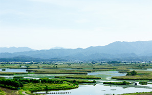 Niigata
