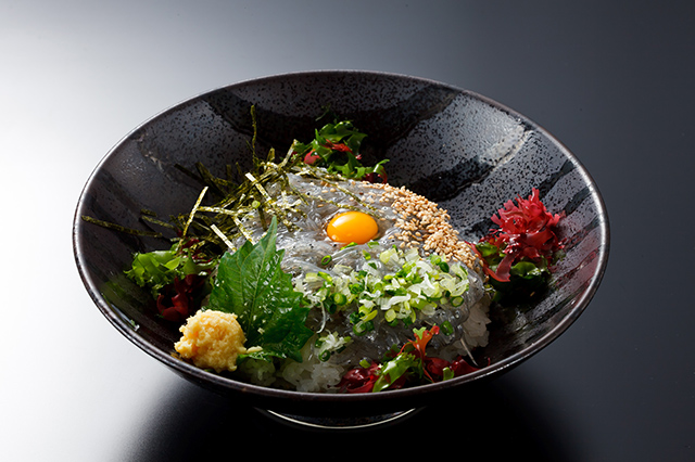 Nama shirasu don (Fresh shirasu rice bowl)