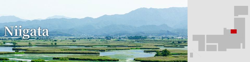 Niigata