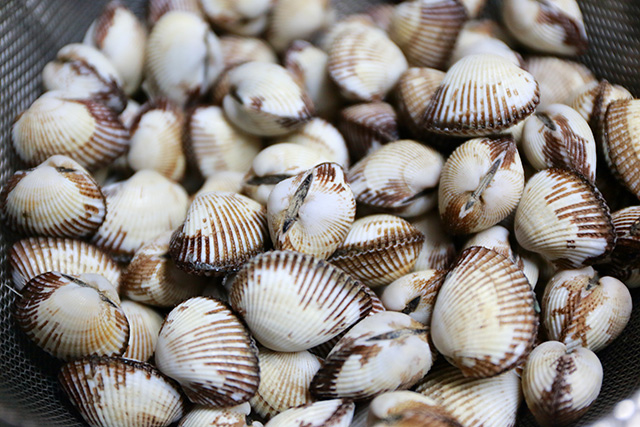 Steamed blood clams (akagai garan mushi/akagai no kara mushi)
