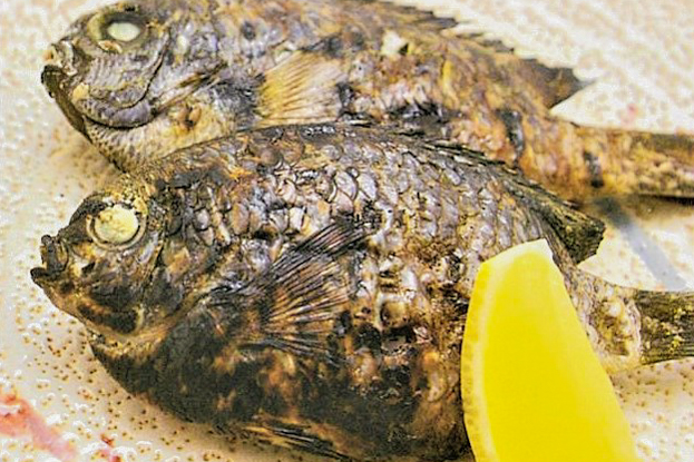 Abuttekamo (Salt-grilled Chromis)