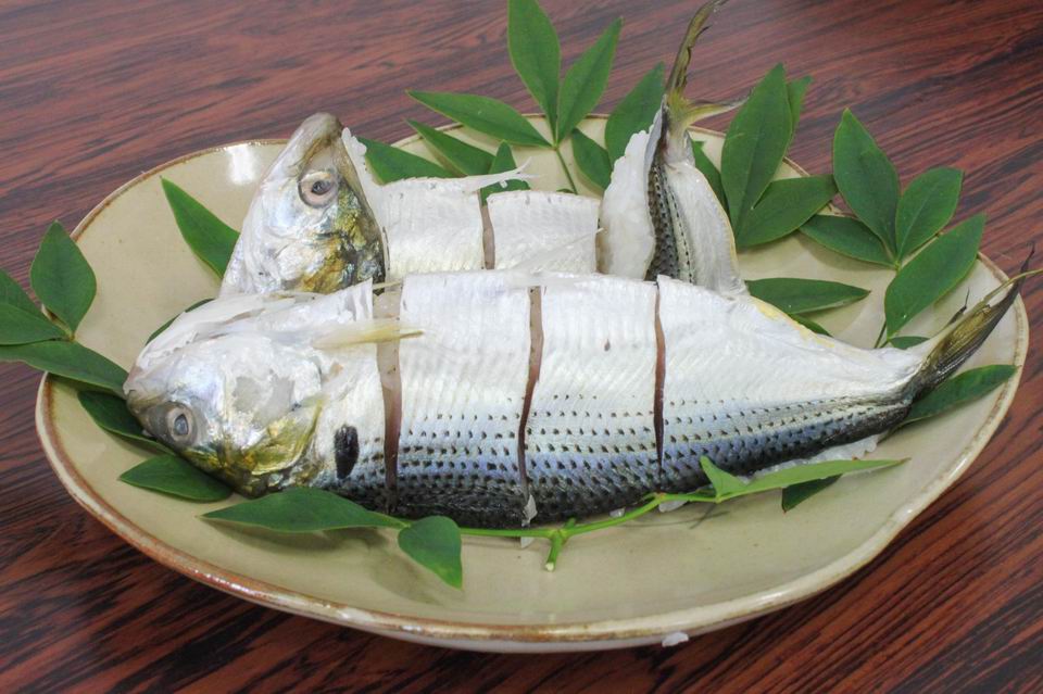 Konoshiro sugata sushi