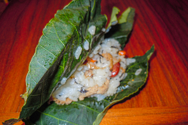 Ha Zushi/Leaf Rapped Sushi
