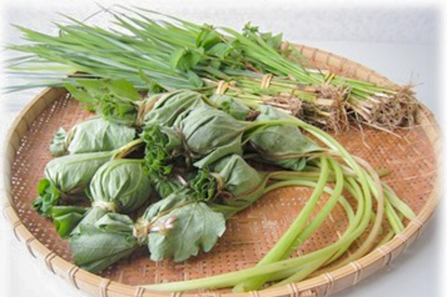 Fuki-dawara (Soybean Rice wrapped in Butterbur Leaves)