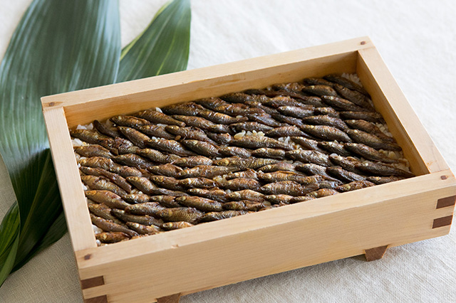 Moroko-zushi (Sushi with ‘Moroko’ Willow Gudgeon)