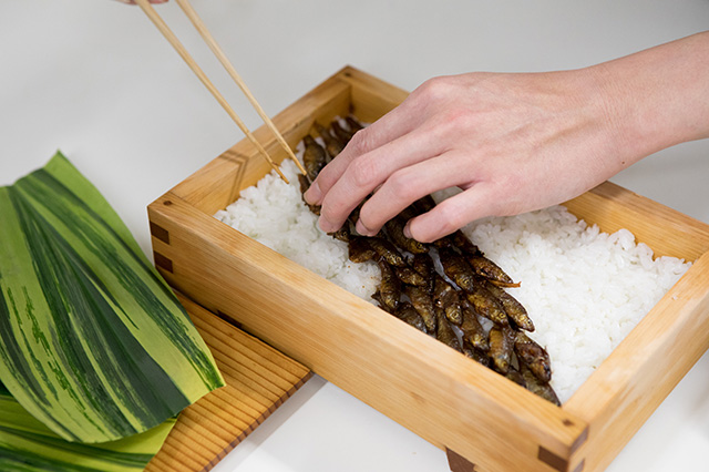 Moroko-zushi (Sushi with ‘Moroko’ Willow Gudgeon)