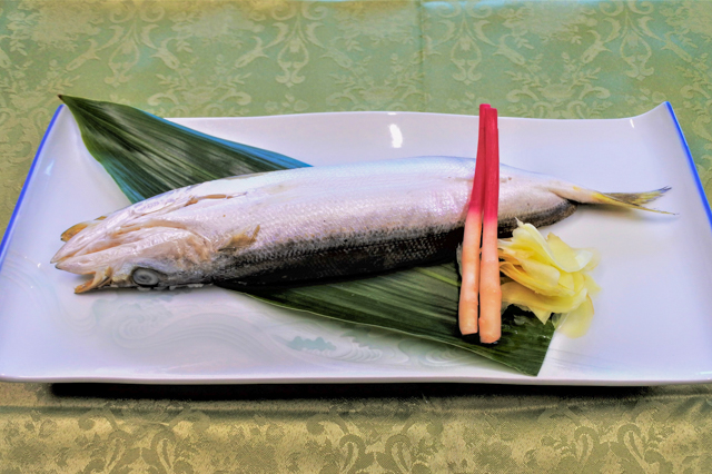 Kamasu-sushi (barracuda-sushi)