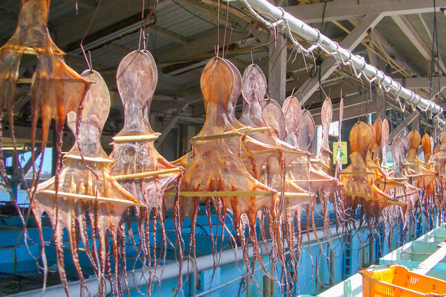 Tako-meshi (Octopus Rice)