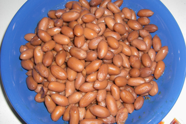 Rakkasei no Nimame (Simmered Peanuts)