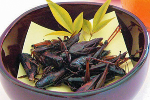 Inago-no-tsukudani (Locust cooked in soy sauce)